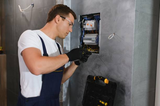 Best Electrical Wiring Services  in Roselle Park, NJ