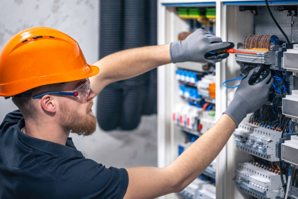 Best Electric Panel Repair  in Roselle Park, NJ